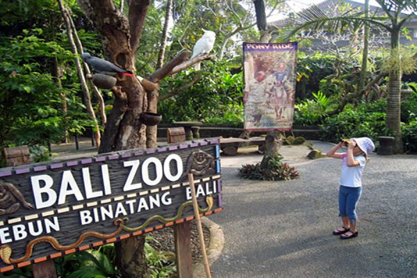 Paket-Wisata-Bali-Zoo-Park-1